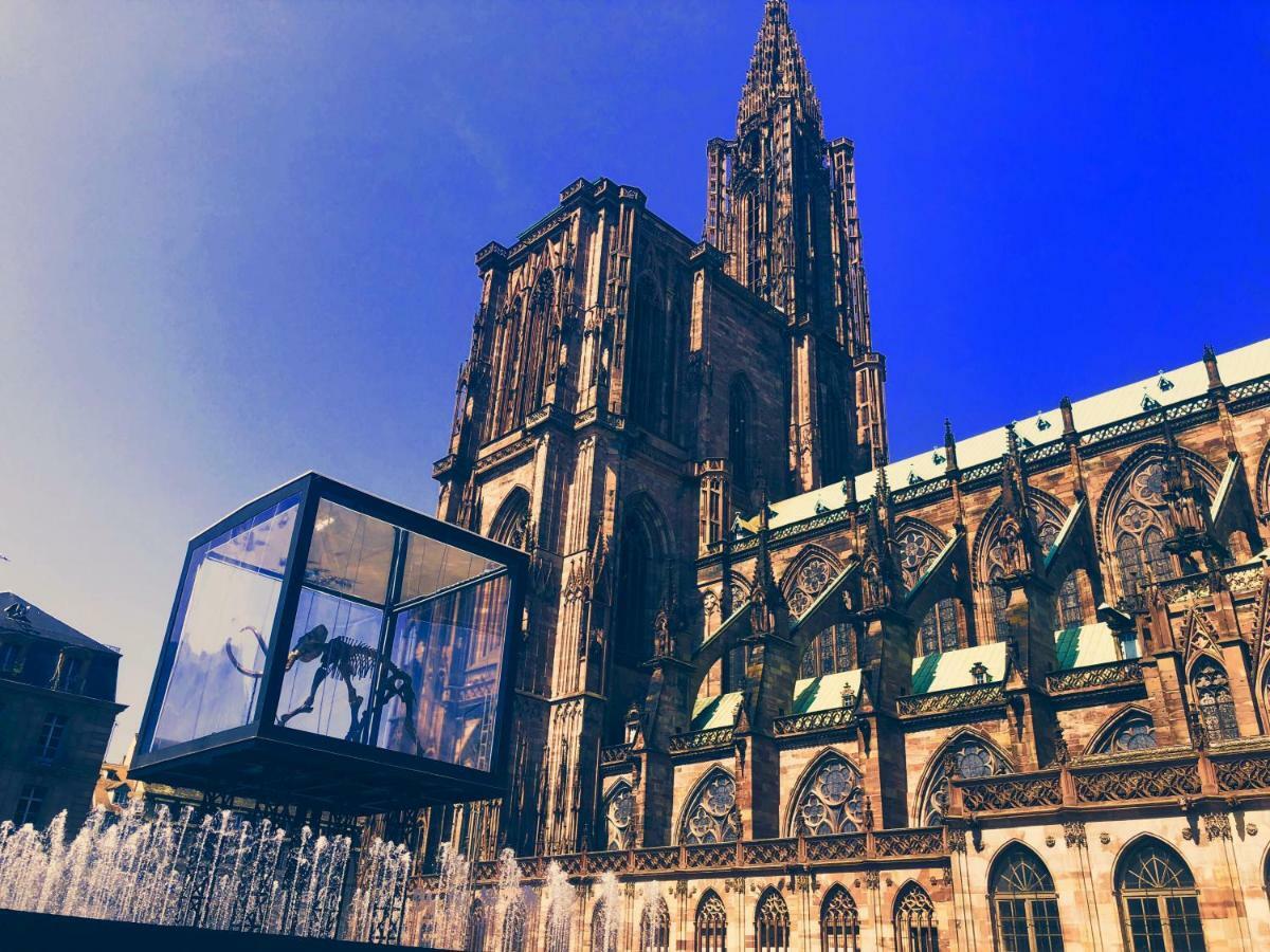 Le Moment Bleu Apartment Strasbourg Ngoại thất bức ảnh